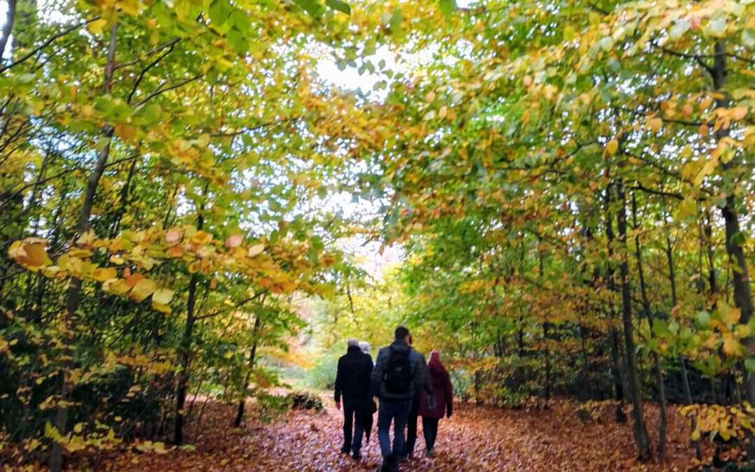 Herbstlicher Spaziergang am 26. Oktober 2025